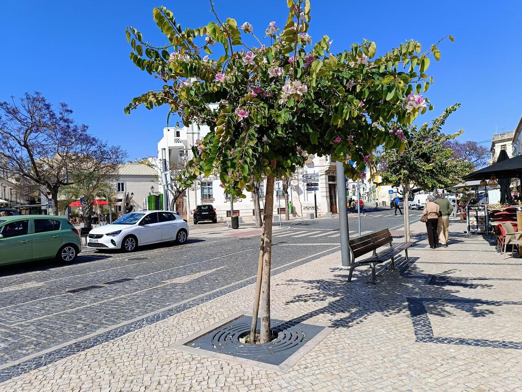 Grey And Green, Modern 2-bedroom Apartment, Ac, Location At Faro's Historic Centre